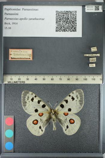Media type: image;   Entomology 175107